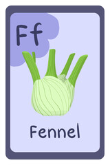 Alphabet education flash card, Letter F - fennel. Colorful abc education card. School, education, study, learning concept.