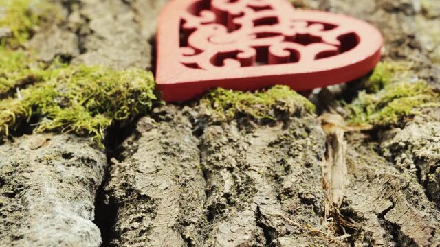 red heart with patterns lies on a wooden bark with green moss, slide video