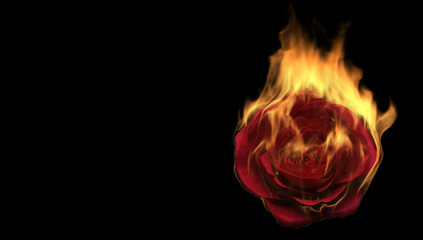 Obraz na płótnie Canvas Flaming rose flower on black background. Love feeling concept. 3d rendering