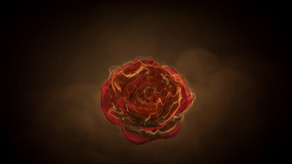 Flaming rose flower on black background. Love feeling concept. 3d rendering