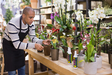 Male florist takes care of flowers in a flower shop