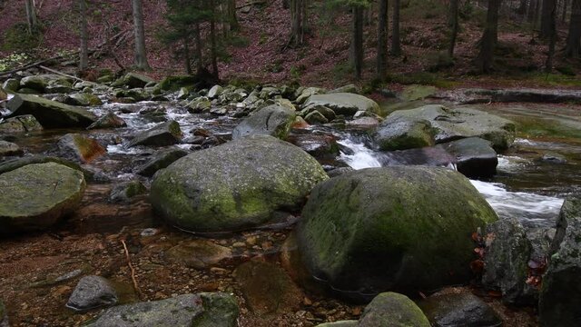 River Mumlava in the Krkono&scaron;e Mountains National Park 