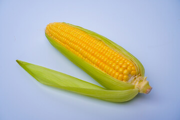 Fresh corn or maize isolated in white background
