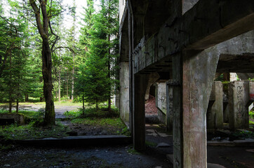 alte Ruinen und mauern im Wald