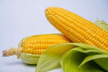 Fresh corn or maize isolated in white background