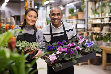 Portrait of flower shop employees with pots of flowers in their hands