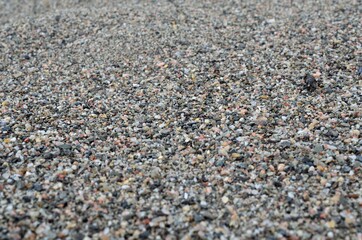 wet river sand background texture