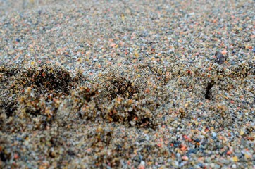 wet river sand background texture