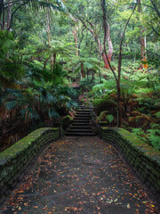 An empty walkway in the park.