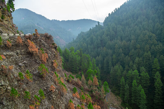 Panoramic view of  Margala Mountain valley, Muree Islamabad