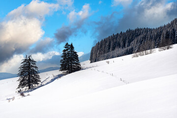 Fototapeta na wymiar French winter landscapes. Panoramic view of mountain with snow covered firs. Vercors Regional Natural Park.