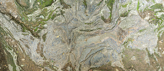 The surface layer of rock