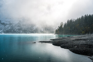 winter forest with snow fall in the Bernese Alps