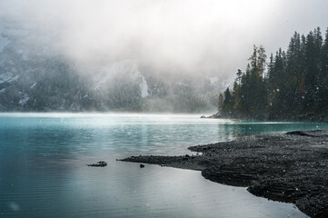 winter forest with snow fall in the Bernese Alps