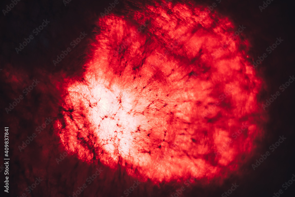 Aufkleber Beautiful abstract texture circle in  red light. Background pattern for design. Macro photography view.