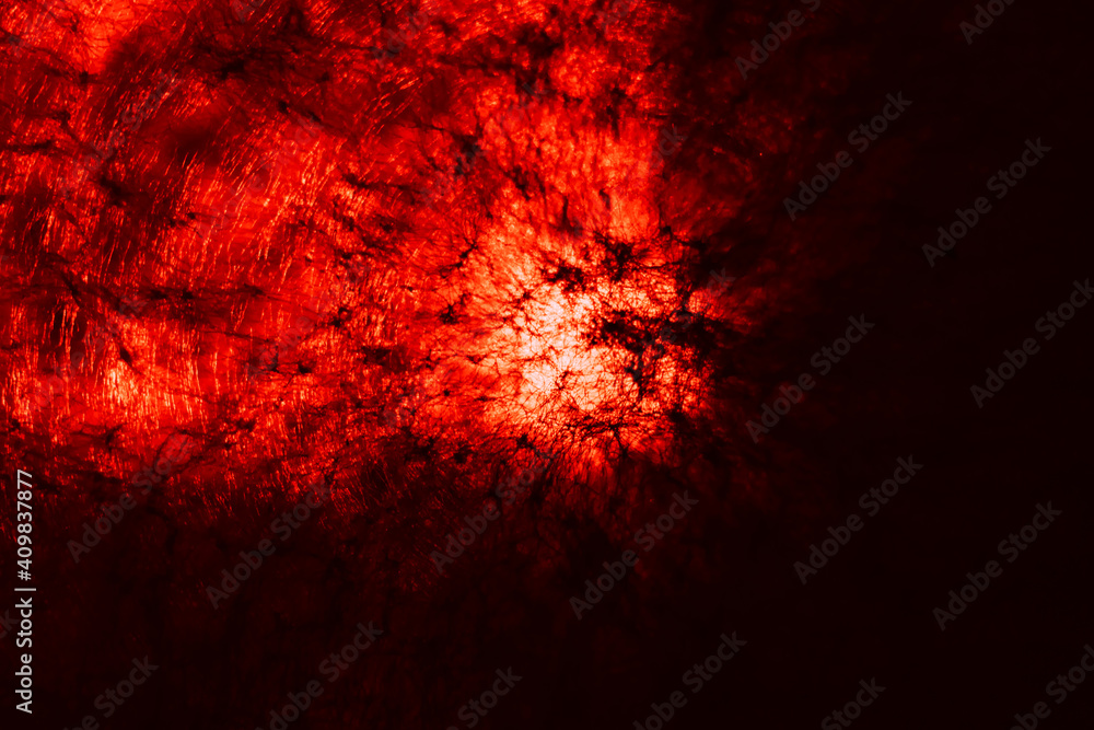 Poster Beautiful abstract texture circle in red light. Background pattern for design. Macro photography view.