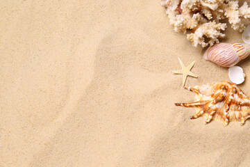 Fototapeta na wymiar Beautiful seashells, coral and starfish on beach sand, flat lay with space for text. Summer vacation