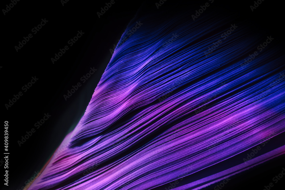 Aufkleber close up beautiful book pages in the blue light on a night. background pattern for design. macro pho