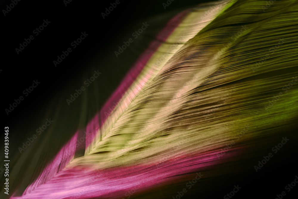 Aufkleber close up beautiful book pages in the multi color light on a night. background pattern for design. ma