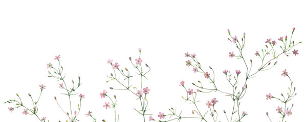 Watercolor horizontal line of pink wild small flowers