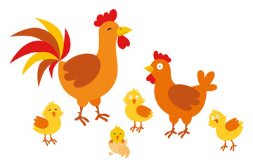 Adult hen and rooster with chickens on a white background. Cute chicken family with their chickens in cartoon style