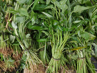 Pile of fresh water morning glory or water spinach or kangkung sell at traditional market