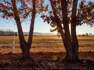 Colorado Farrm with white fence in autumn with San Juan mountains in background at sunset