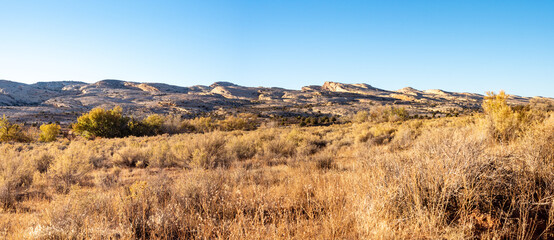 Fototapeta premium Butler Wash Road, Combs Ridge, Bears Ears National Monument near Bluff, Utah at sunset on a clear day