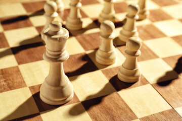 Queen and pawns on wooden chess board, closeup. Social roles concept