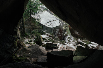 Rocks and moss among trees in winter forest