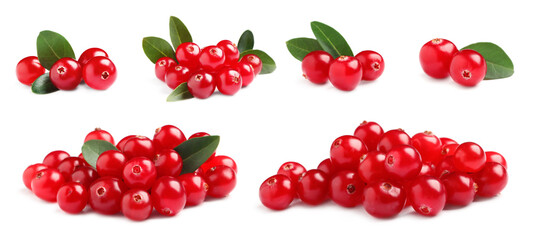 Set of fresh ripe cranberries on white background. Banner design