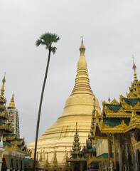 Fototapeta premium The Shwedagon pagoda the most famous landmark of Myanmar. 
