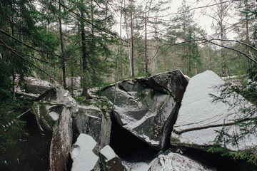Landscape in the forest in the mountains. Rocks and tree trunks covered in moss