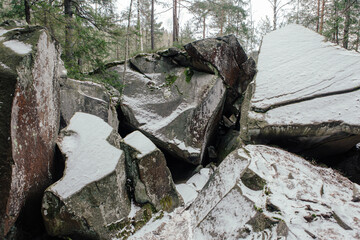 Rocks and moss among trees in winter forest