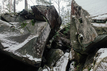 Rocks and moss among trees in winter forest