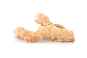  ginger isolated on white background.