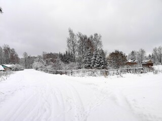 Fototapeta na wymiar winter day in a Russian village trees in the snow frost