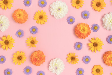 Round frame made of arnica and dahlia flowers pattern on a pink pastel background. Springtime...