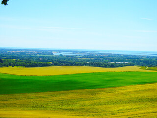 Farmland, trees and the sky