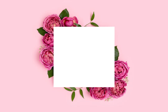 Wow! Khung hình vuông hoa hồng trên nền hồng pastel sẽ khiến bạn đắm chìm trong sắc hồng ngọt ngào này. Các bông hoa hồng xếp chồng lên nhau tạo nét độc đáo cho khung hình. Hãy ngắm nhìn ảnh và cảm nhận sự tỉ mỉ và tinh tế của nó.