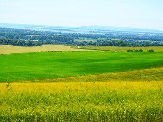 Farmland, trees and the sky