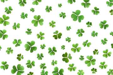 Fresh green clover leaves on white background. St. Patrick's Day