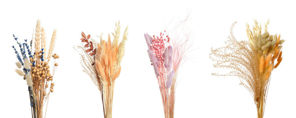 Set with beautiful decorative dry flowers on white background, banner design
