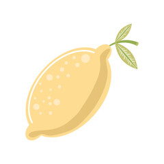 lime fresh fruit icon isolated style