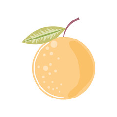 orange fresh fruit icon isolated style