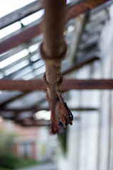 Rusty hook in abandoned factory