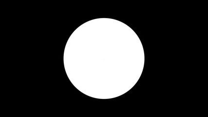 Pie charts animation. percent circle round donut chart infographic. Colorful infographic on a white background. animation with optional luma matte.