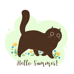 Cute summer cat and flowers. Vector graphics.