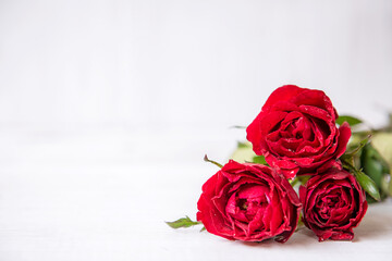  Valentine day.  Red Rose with heart on white background.  Lover heart romantic in valentine day.  Holiday Concept, select focus.