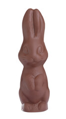 Chocolate bunny isolated on white. Easter celebration